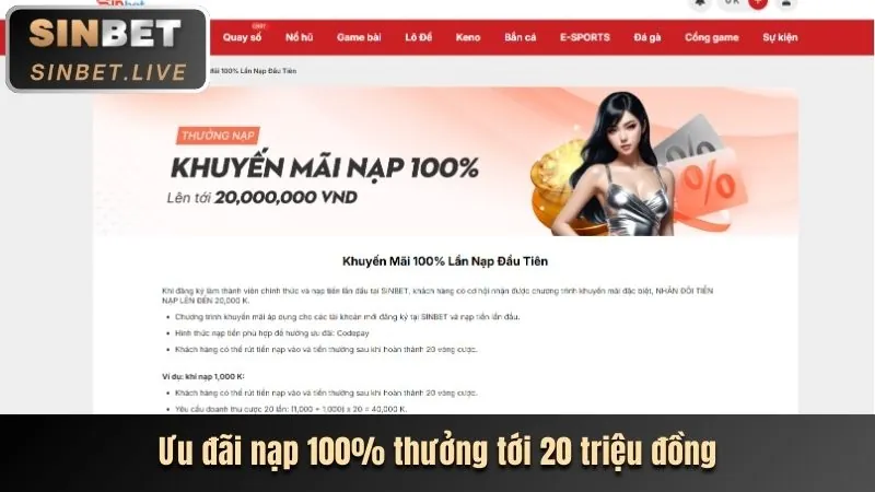 Hoàn trả hàng ngày 66ff